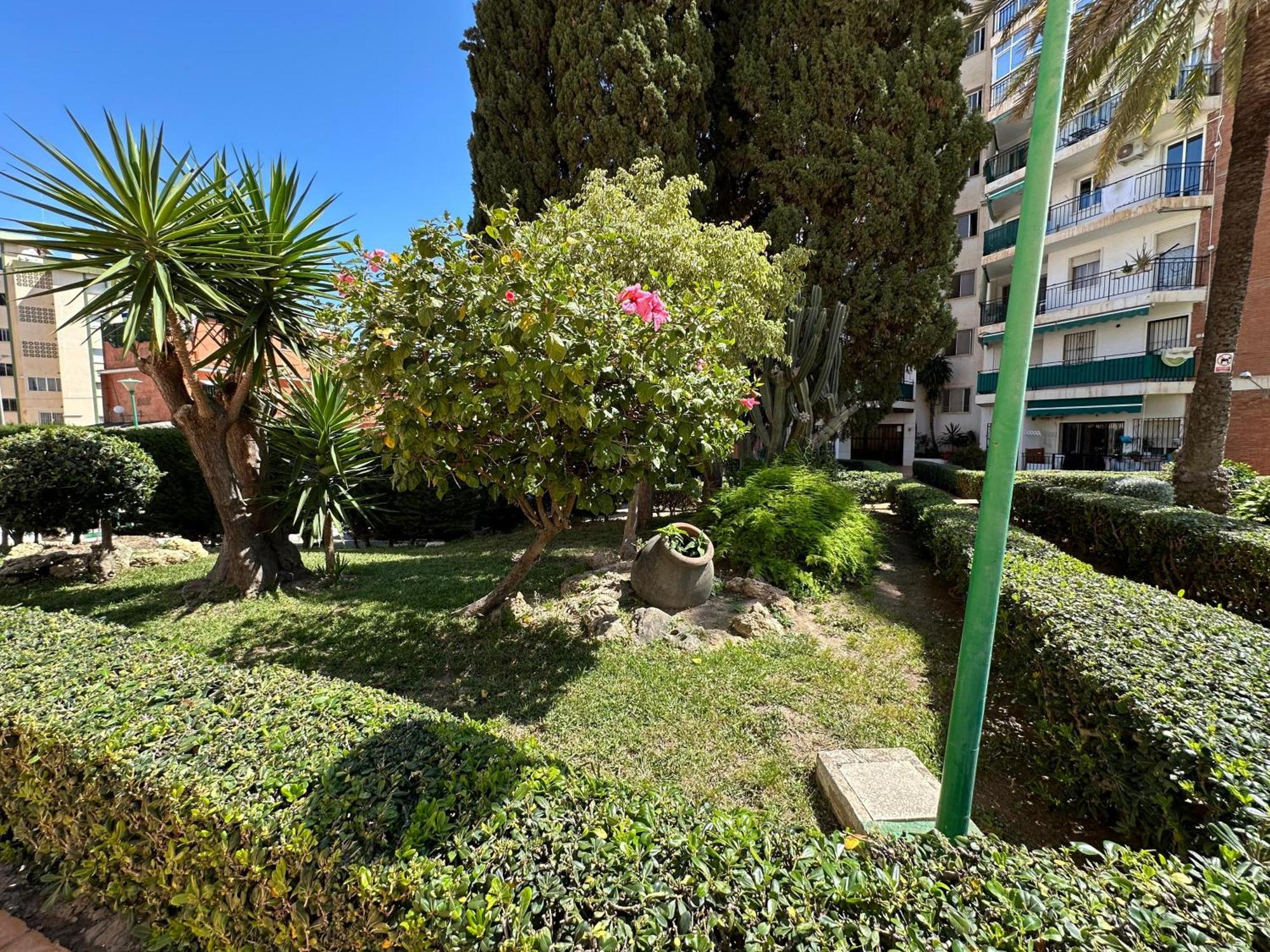 Studio Pollux Daire Torremolinos Dış mekan fotoğraf